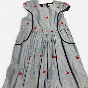Pink Chicken Gray Dress with Red Apple Details